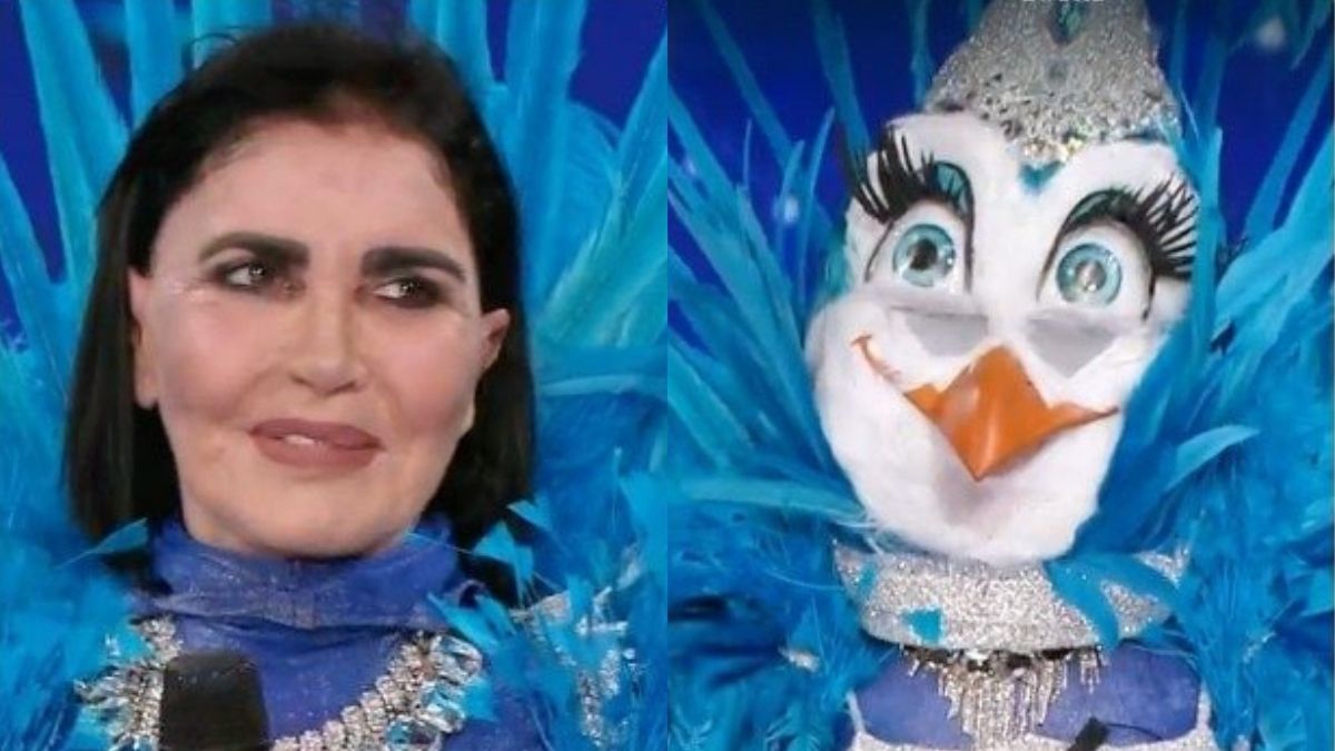 Il Cantante Mascherato Fiordaliso Gallina