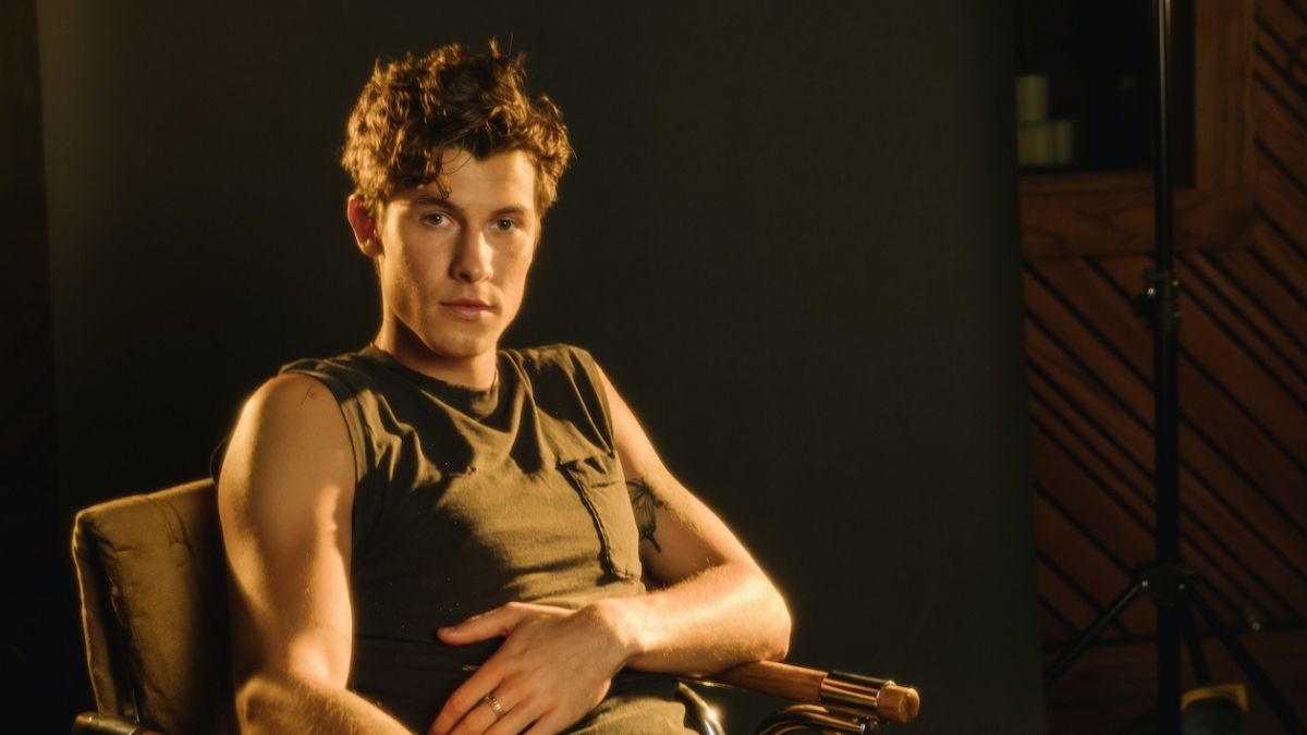 Shawn Mendes When You're Gone