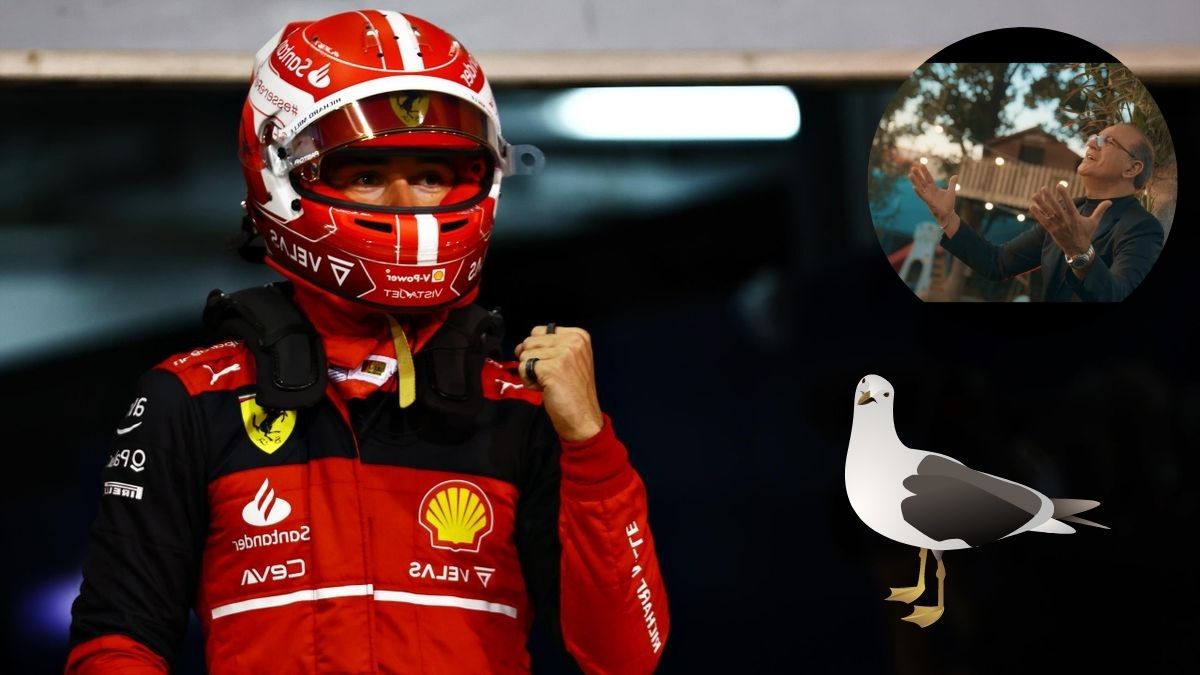 Charles Leclerc Povero Gabbiano