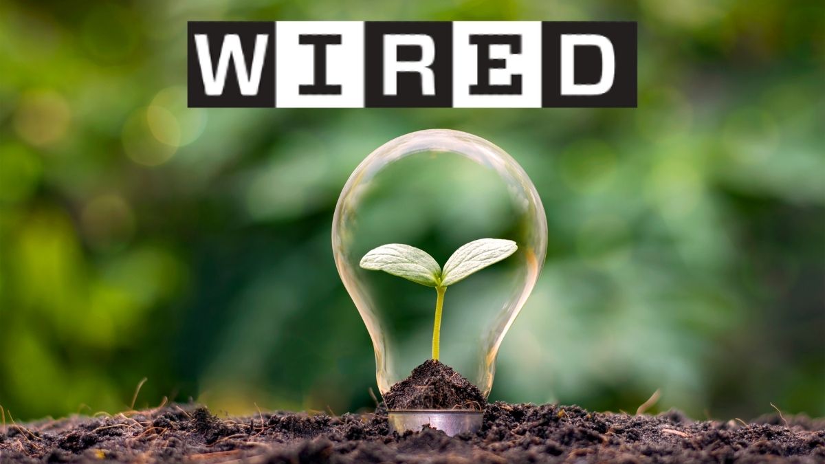 Wired Next Fest