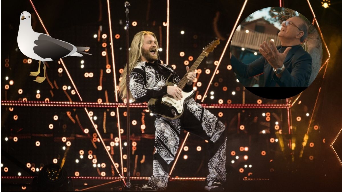 Sam Ryder Povero Gabbiano