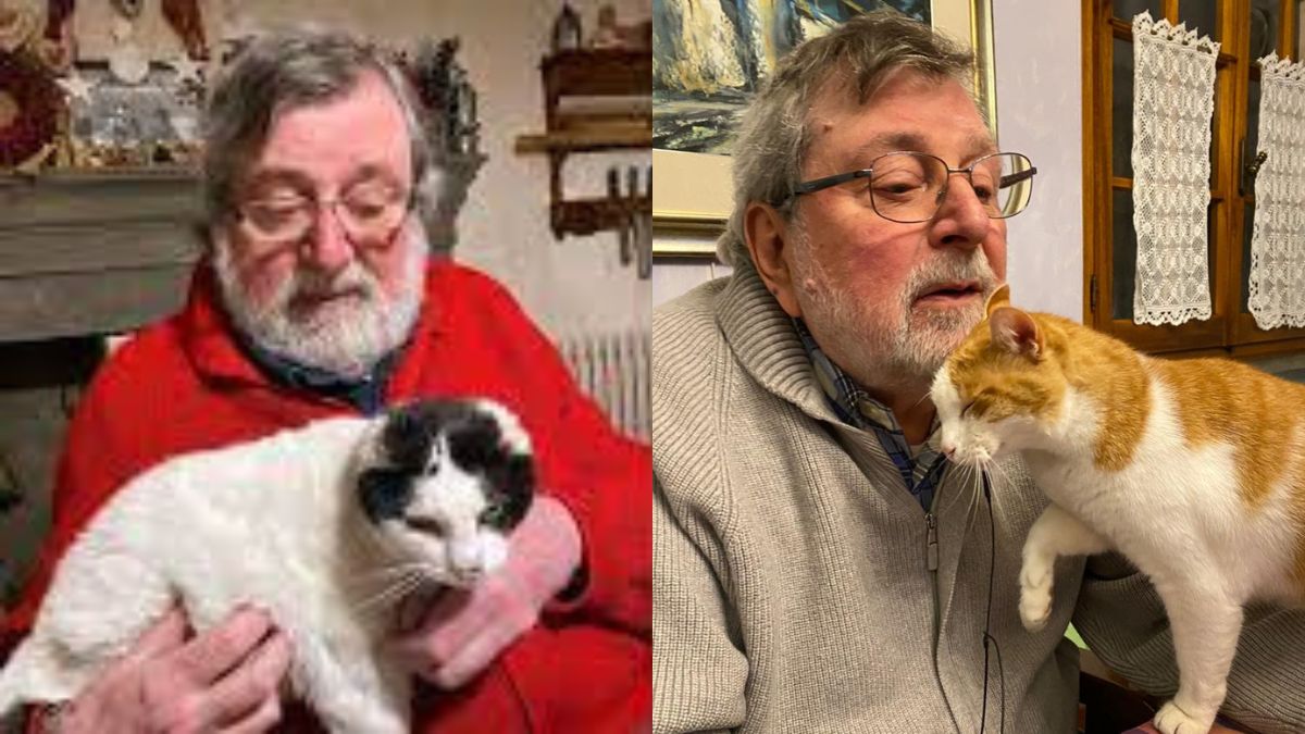 Francesco Guccini gatti