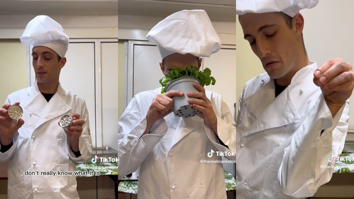 Maneskin Damiano Pesto