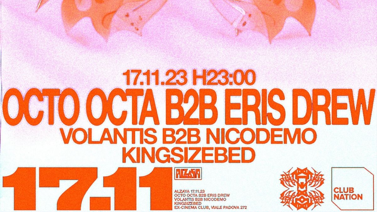 Octo Octa B2B Eris Drew
