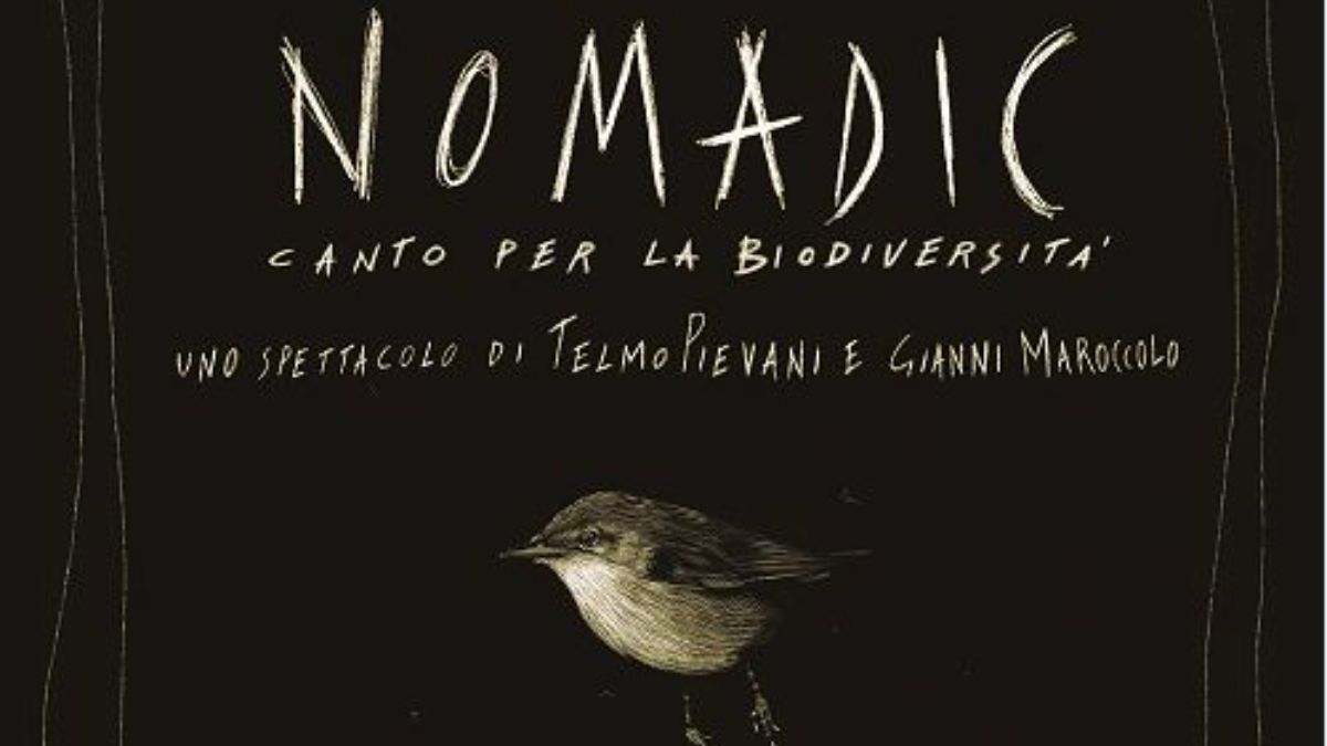 Nomadic