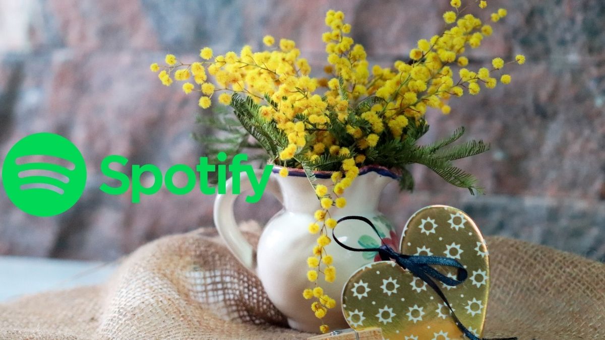 Spotify artiste