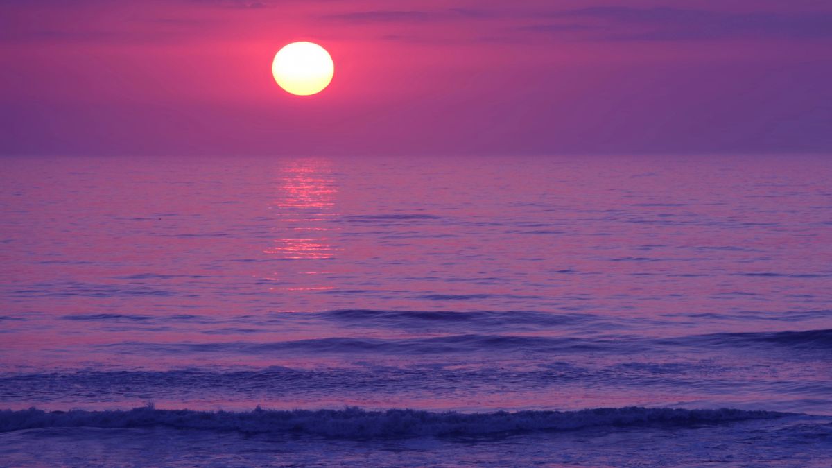 Notte Rosa