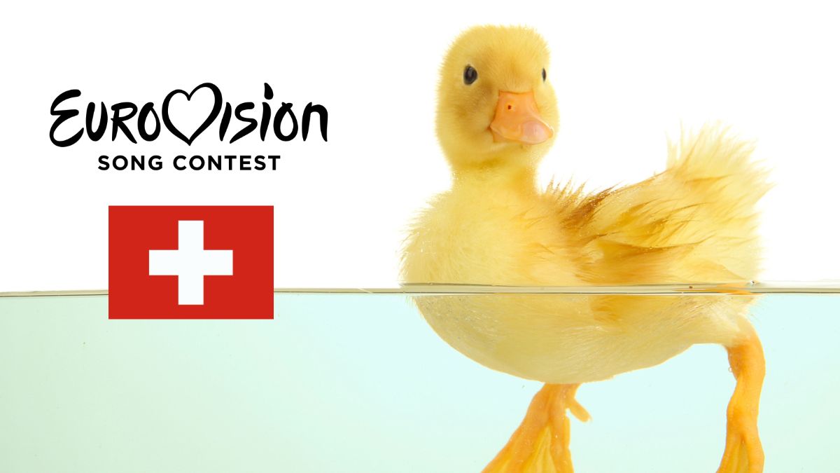 Eurovision 2025 Il Ballo del Qua Qua