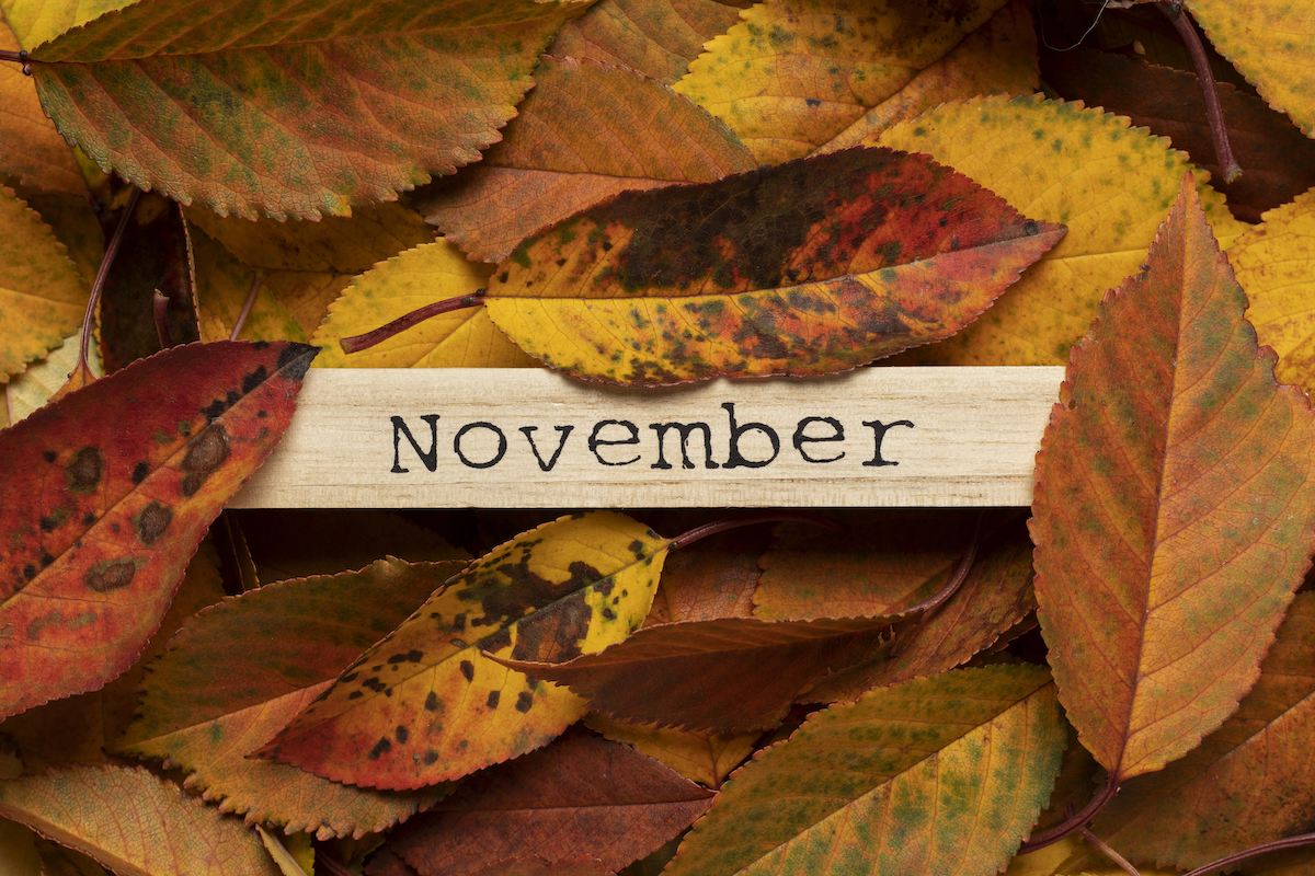Wooden board with the inscription November in dry autumn leaves.