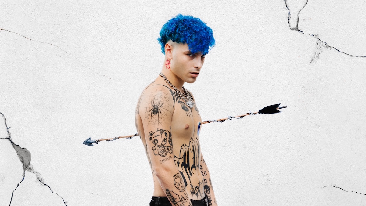 Plant Maldivita cover