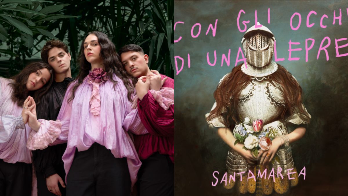 Santamarea Con gli occhi di una lepre