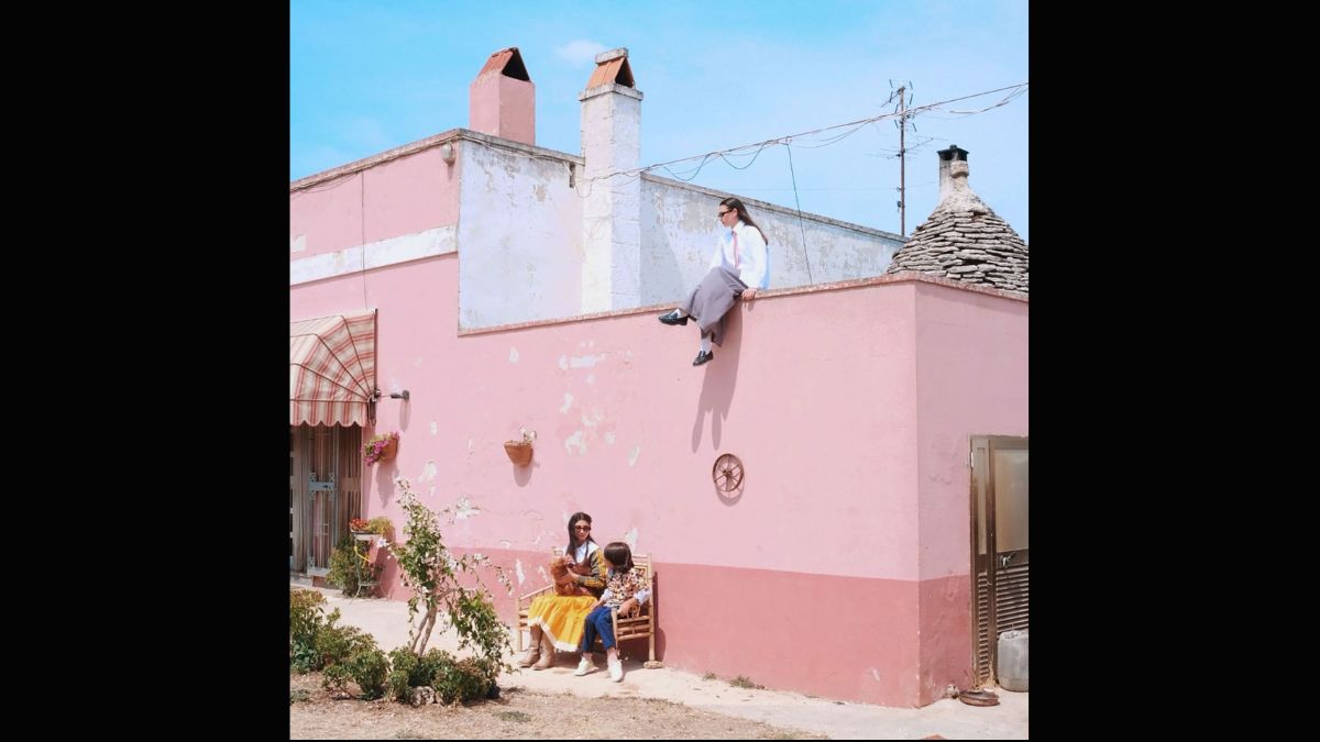 fluente animalixsempre